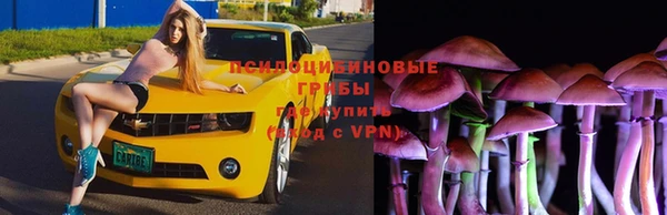 винт Алексеевка